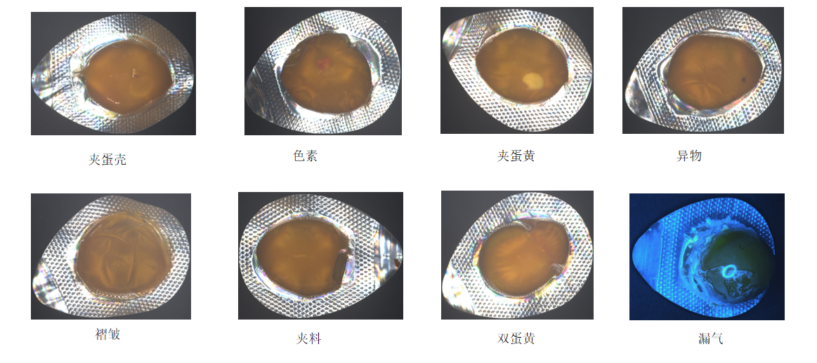 鹌鹑蛋瑕疵图.png